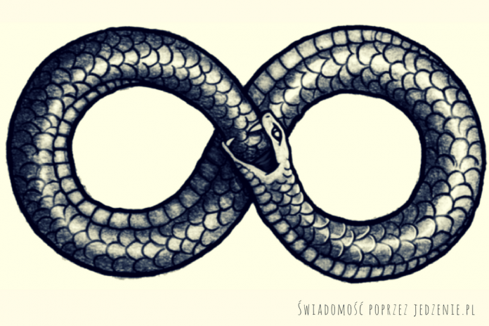 Wąż Uroboros